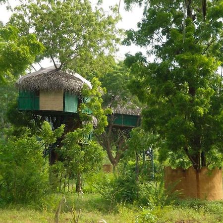 Готель Yala Beddegama Eco Катарагама Екстер'єр фото