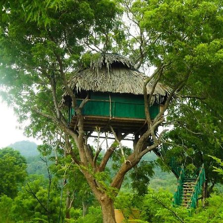 Готель Yala Beddegama Eco Катарагама Екстер'єр фото