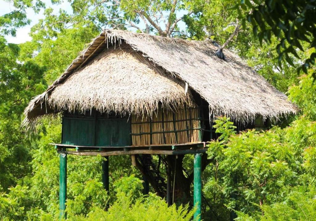 Готель Yala Beddegama Eco Катарагама Екстер'єр фото