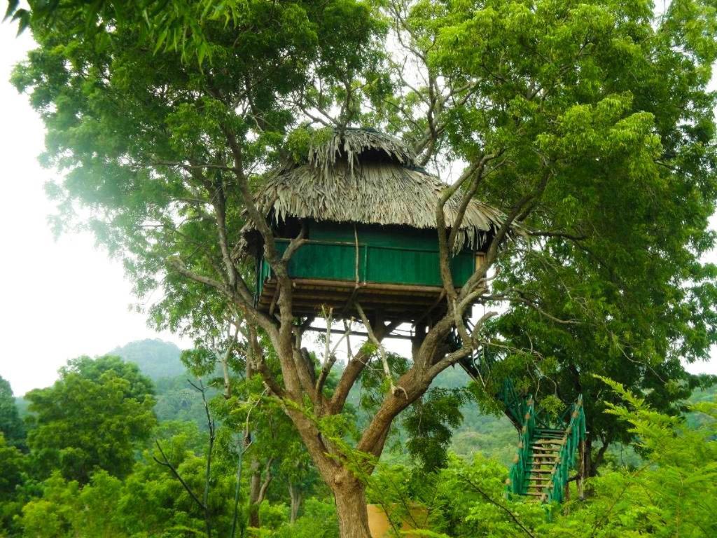 Готель Yala Beddegama Eco Катарагама Екстер'єр фото