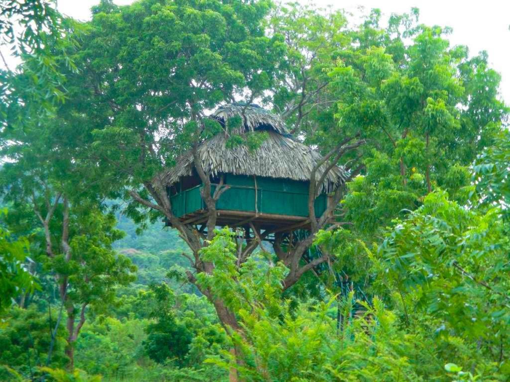 Готель Yala Beddegama Eco Катарагама Екстер'єр фото
