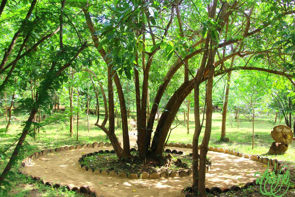 Готель Yala Beddegama Eco Катарагама Екстер'єр фото