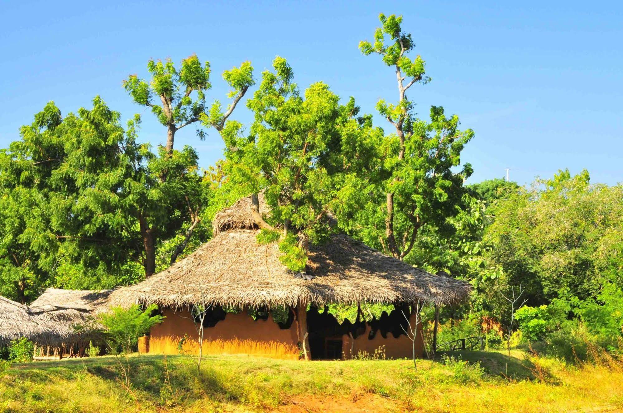 Готель Yala Beddegama Eco Катарагама Екстер'єр фото